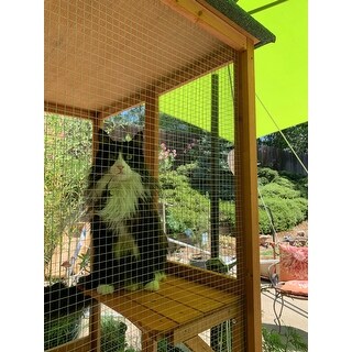 Shop Large Wooden Outdoor Cat Enclosure Cage With 6 Platforms 71